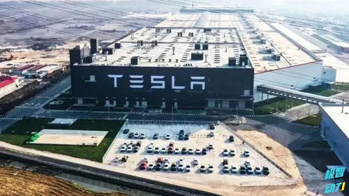 降低成本這招我會(huì) 豐田開(kāi)發(fā)新車身技術(shù)，直指行業(yè)成本命門